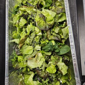 Alachua Greens Signature Lettuce Mix